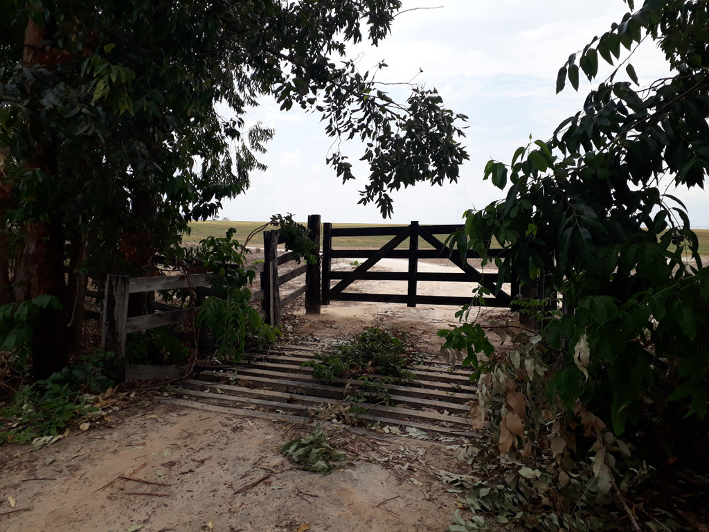 Início da caminhada - beginning of hike