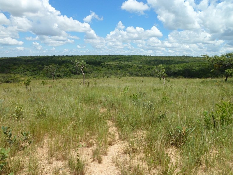 Visão geral - general view