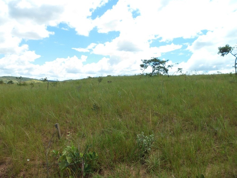 Visão norte - north view