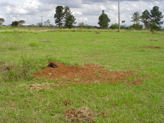 #1: The "dirt" confluence point