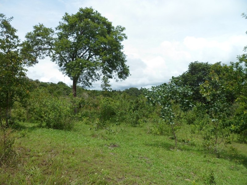 Visão norte - north view