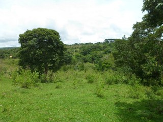 #1: Visão geral - general view