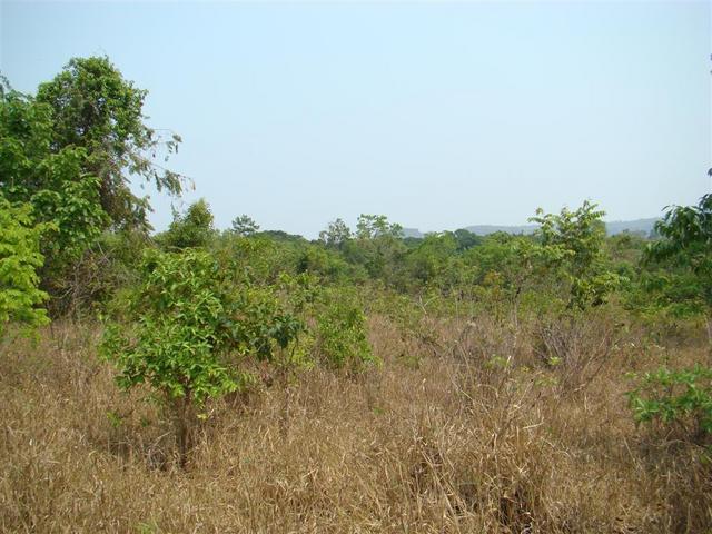 General view of confluence area