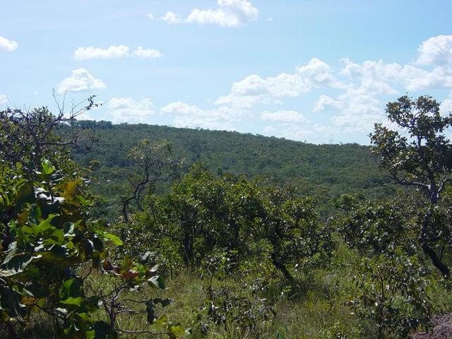 Panorâmica da Confluência