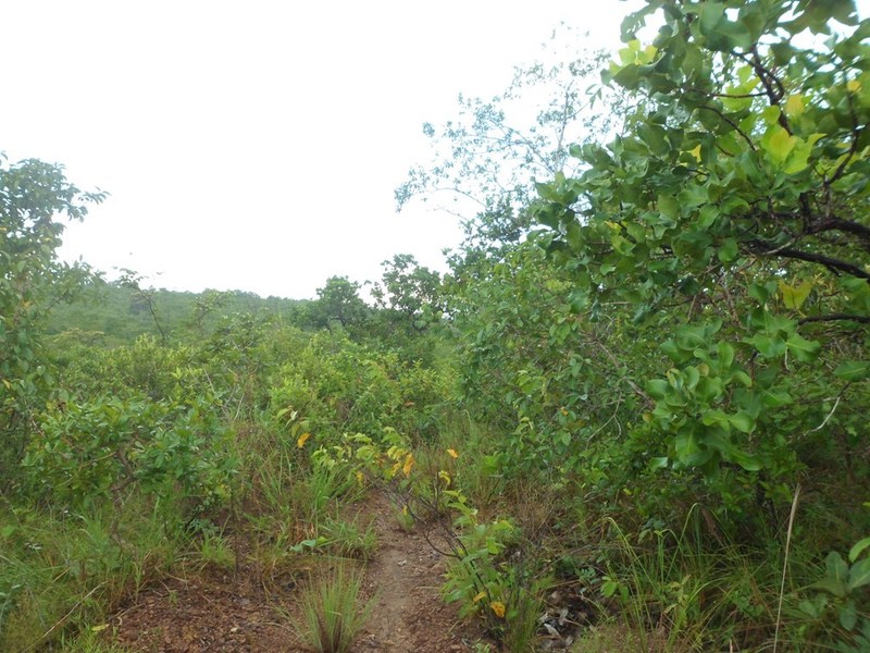 Visão leste - east view