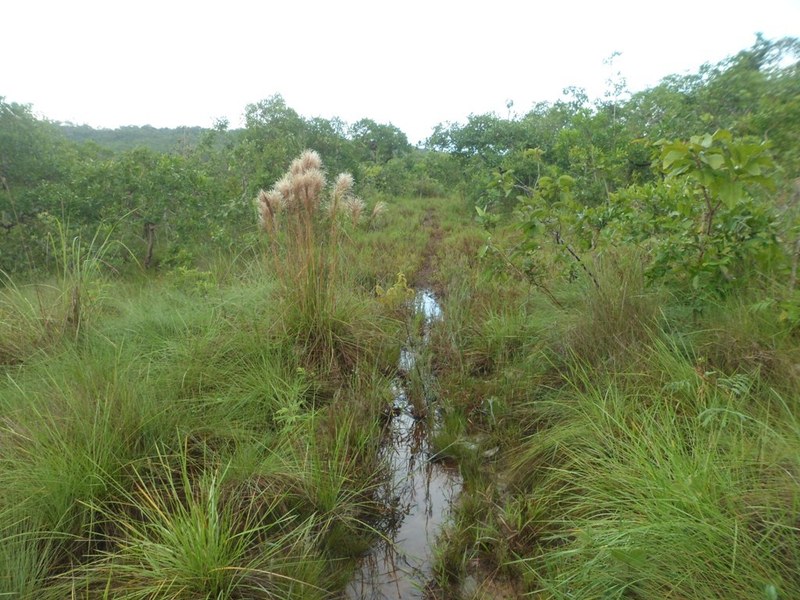 Trecho com trilha alagada - region with flooded track