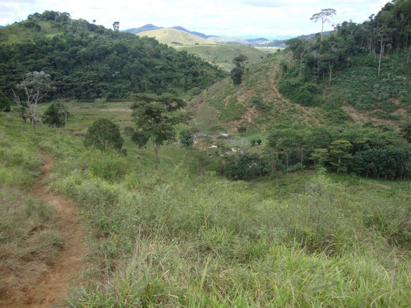 Trilha de subida e sitio abaixo / Track to up and down hill