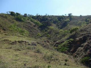 #1: General view. The CP is 20 m to top of hill