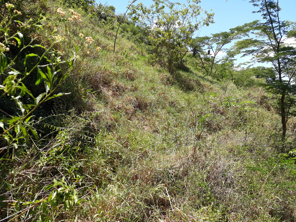 Visão sul - south view