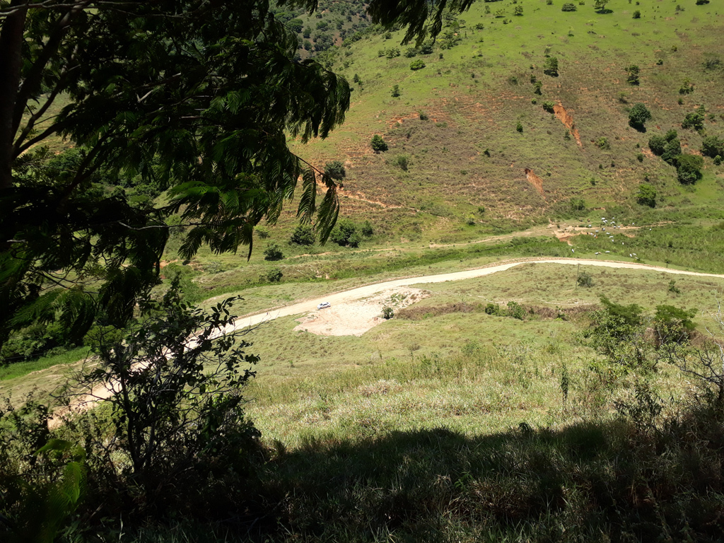 Carro visto a partir da árvore no alto do morro - car viewed from the tree at the top of the mountain