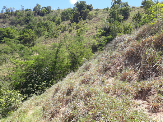 #1: Visão geral - general view