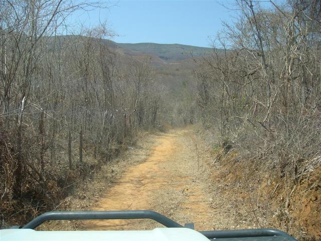 Local árido e muito seco. Very arid region.