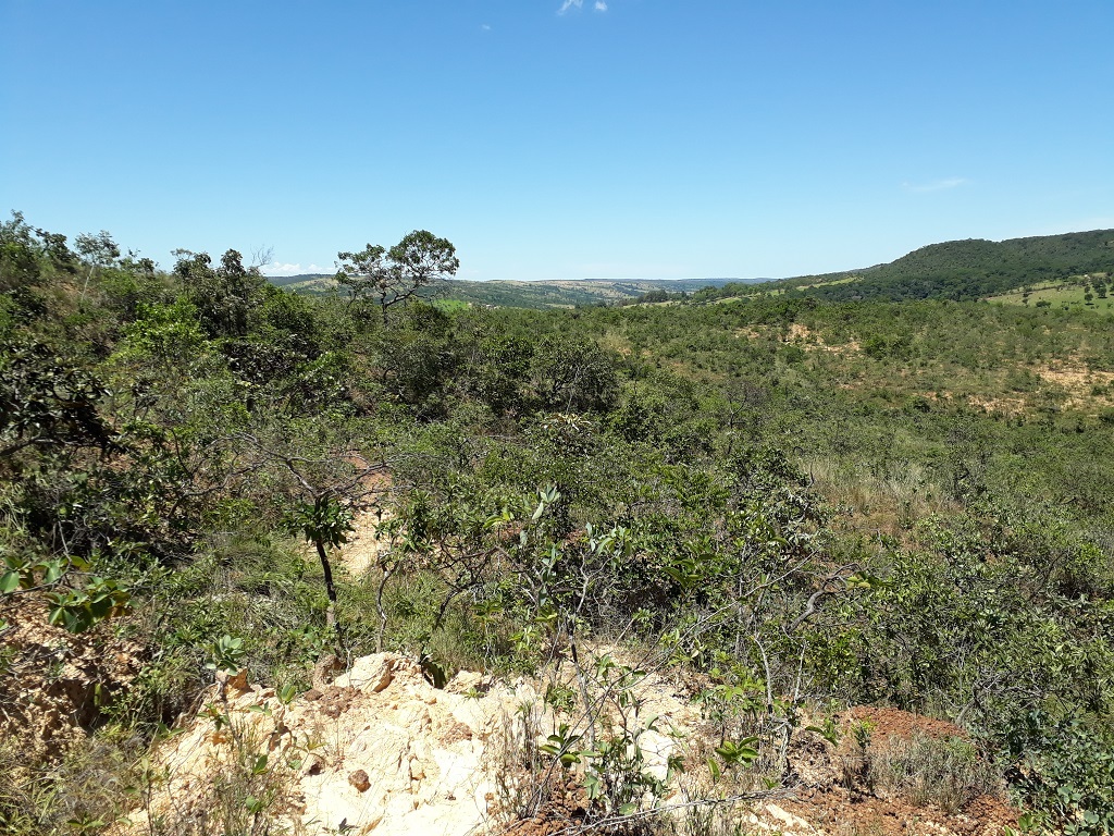 Caminhada - hiking