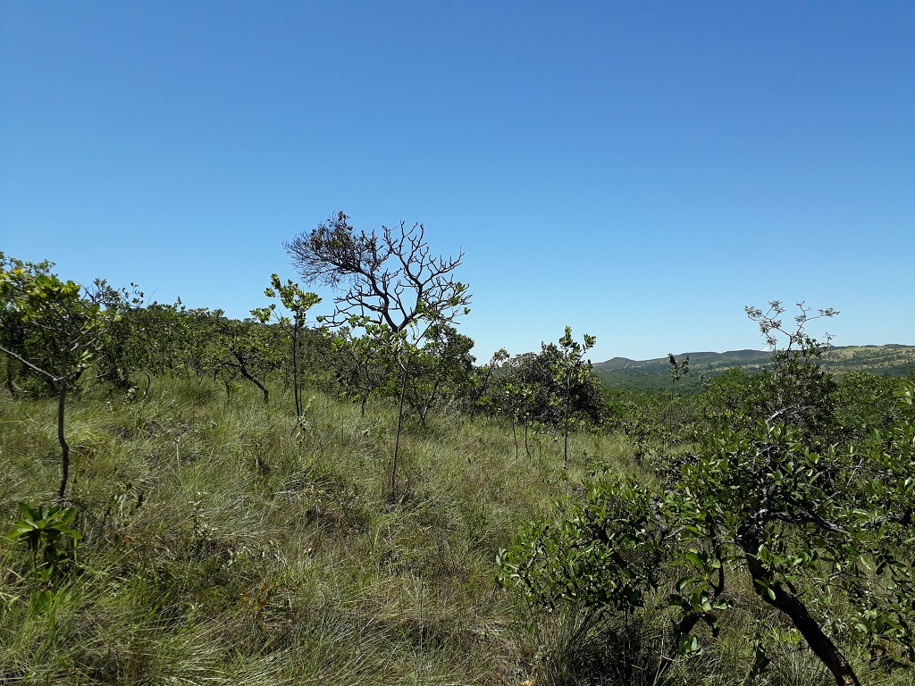 Visão sul - south view