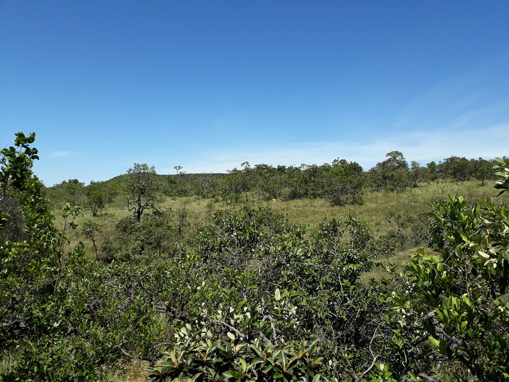 Visão oeste - west view