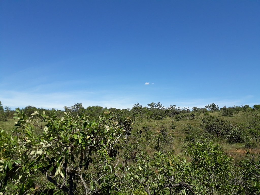 Visão norte - north view