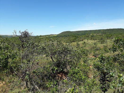 #1: Visão geral - general view