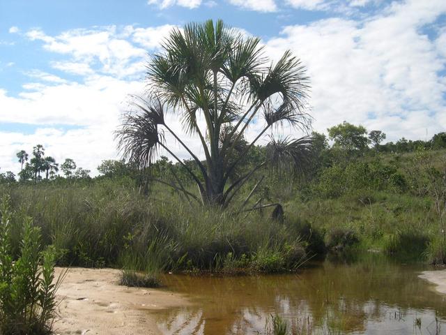 Vereda do Galhao