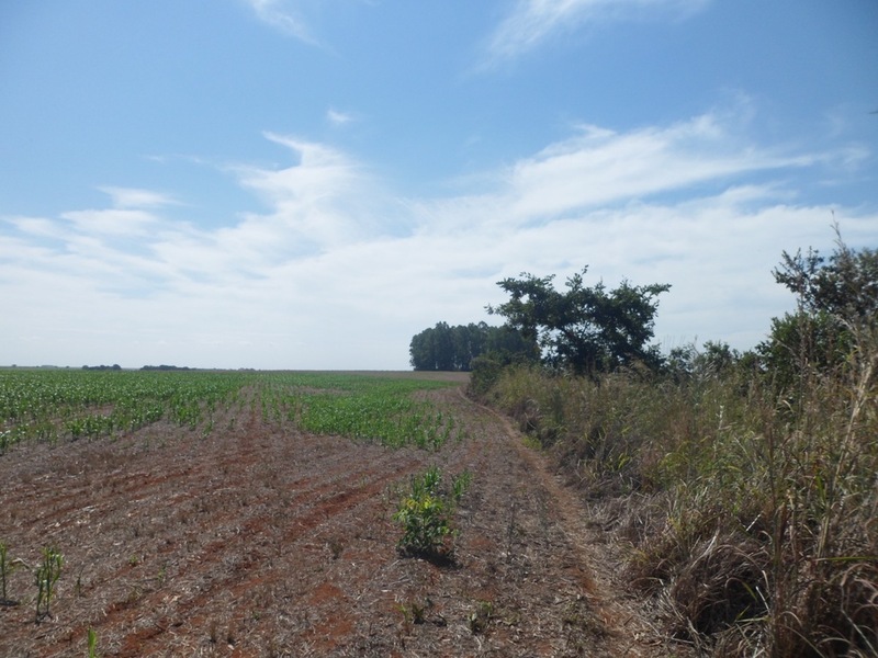 Caminhada até a confluência - hiking to the confluence