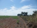 #8: Caminhada até a confluência - hiking to the confluence