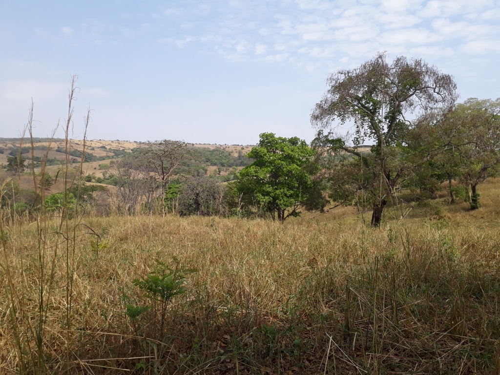 Visão geral - general view