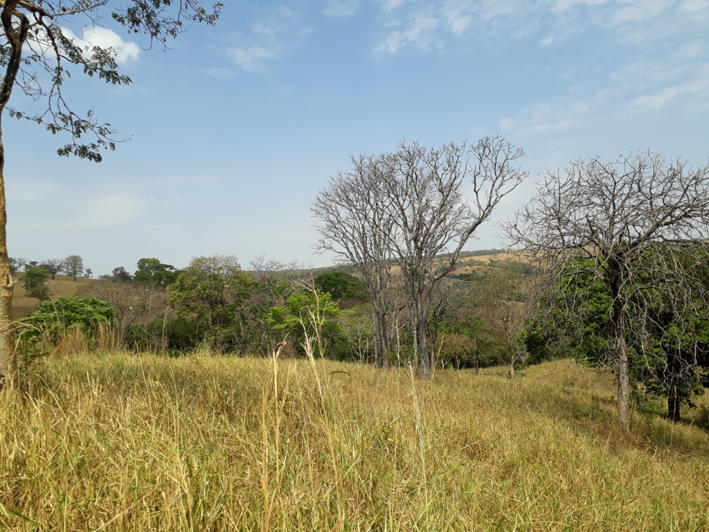 Visão oeste - west view