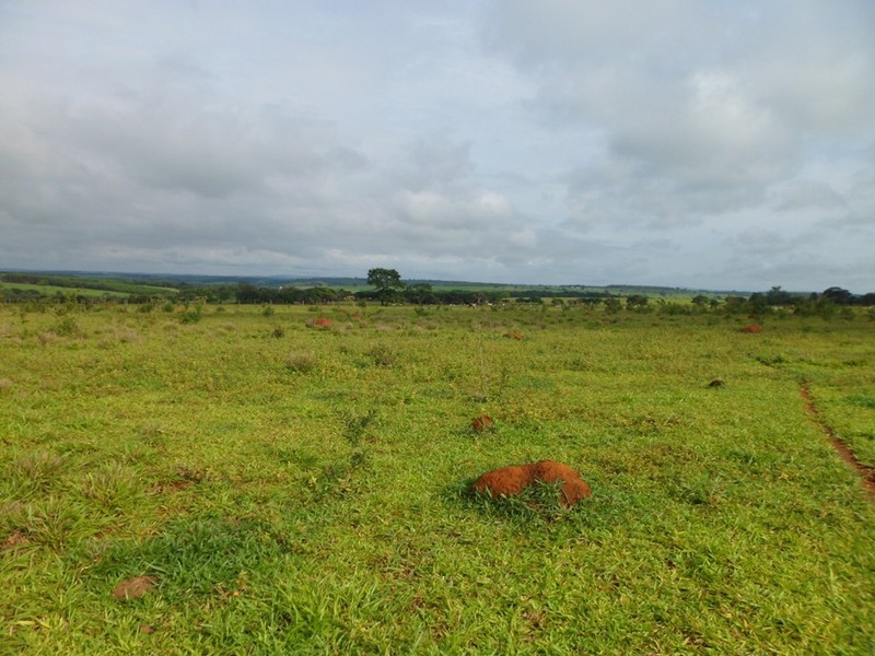 Visão geral - general view