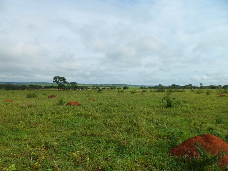 Visão norte - north view