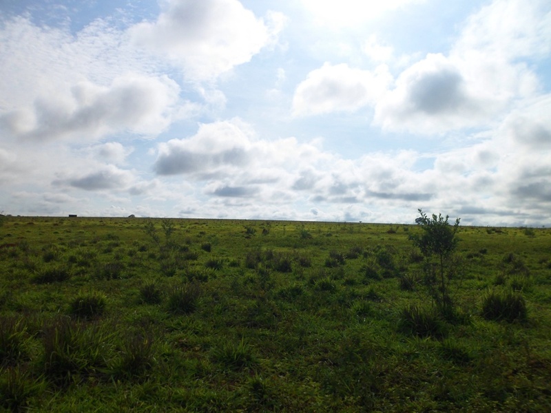 Visão leste - east view