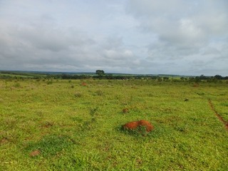 #1: Visão geral - general view