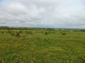 #3: Visão oeste - west view