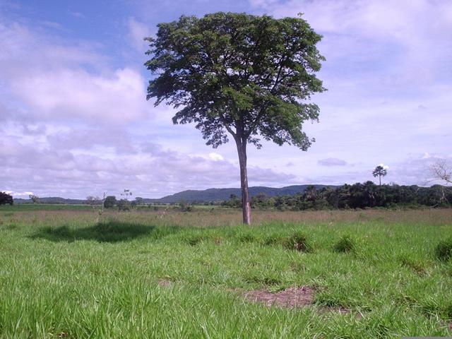 Vista para o Norte