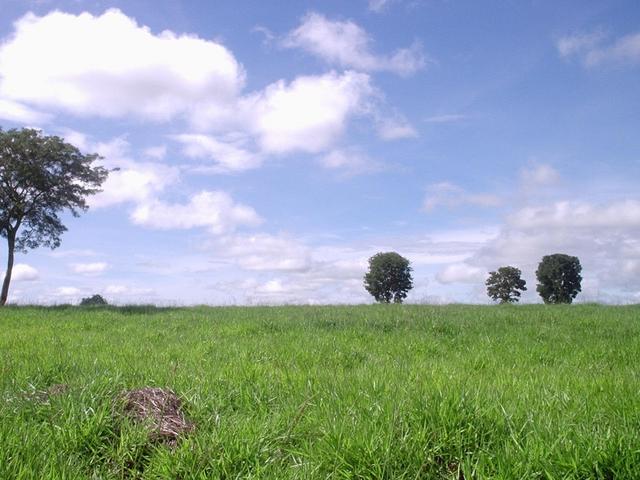 Vista para o Sul