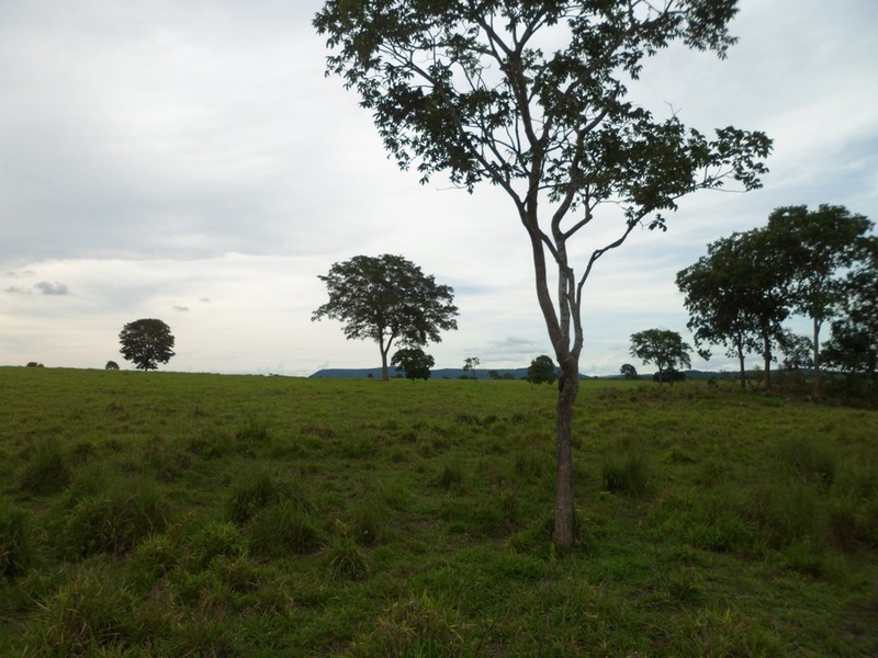 Visão geral - general view