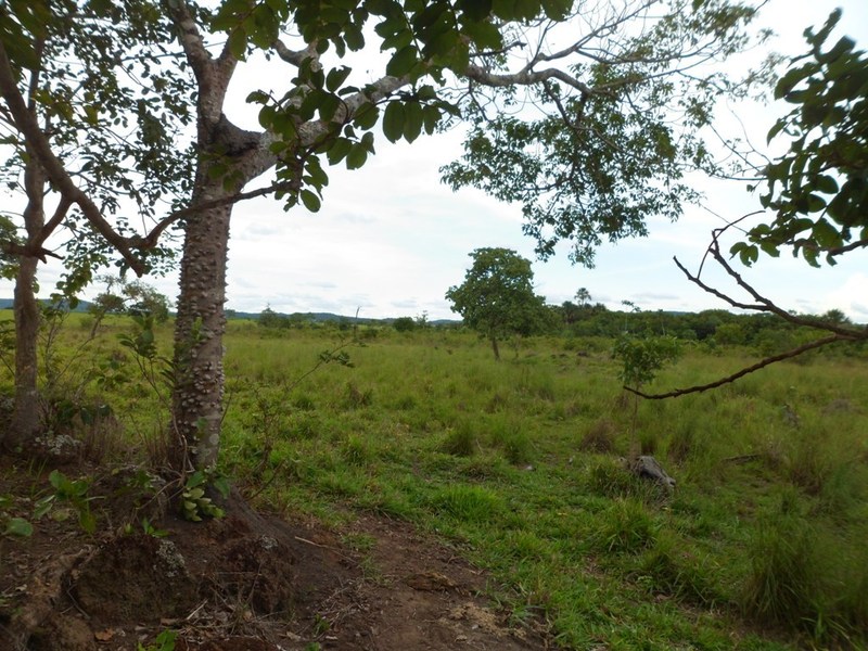 Visão oeste - west view