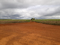 #10: Início da caminhada - beginning of hike