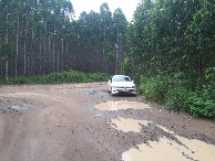 #8: Parei o carro a 4,5 quilômetros do ponto exato - I stopped the car 4.5 kilometers to the exact point