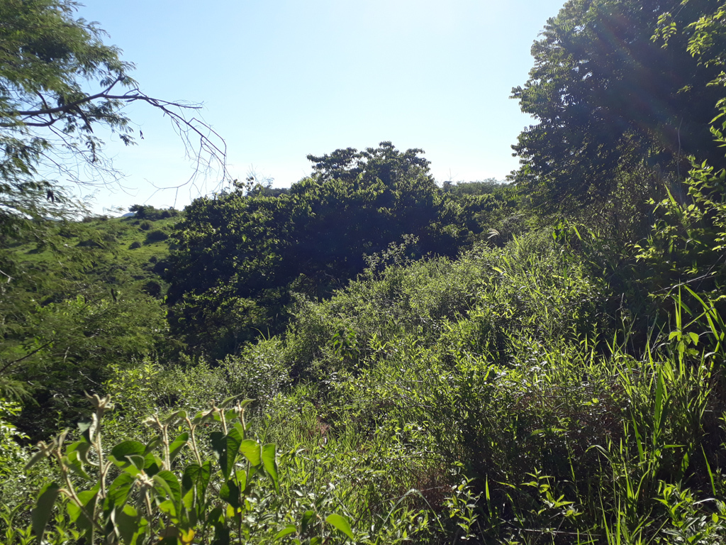 Visão oeste - west view