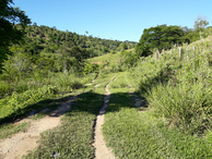 #9: Caminhada até a confluência - hiking up to the confluence