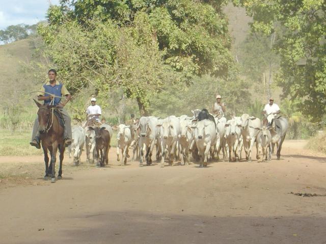 trafic jam