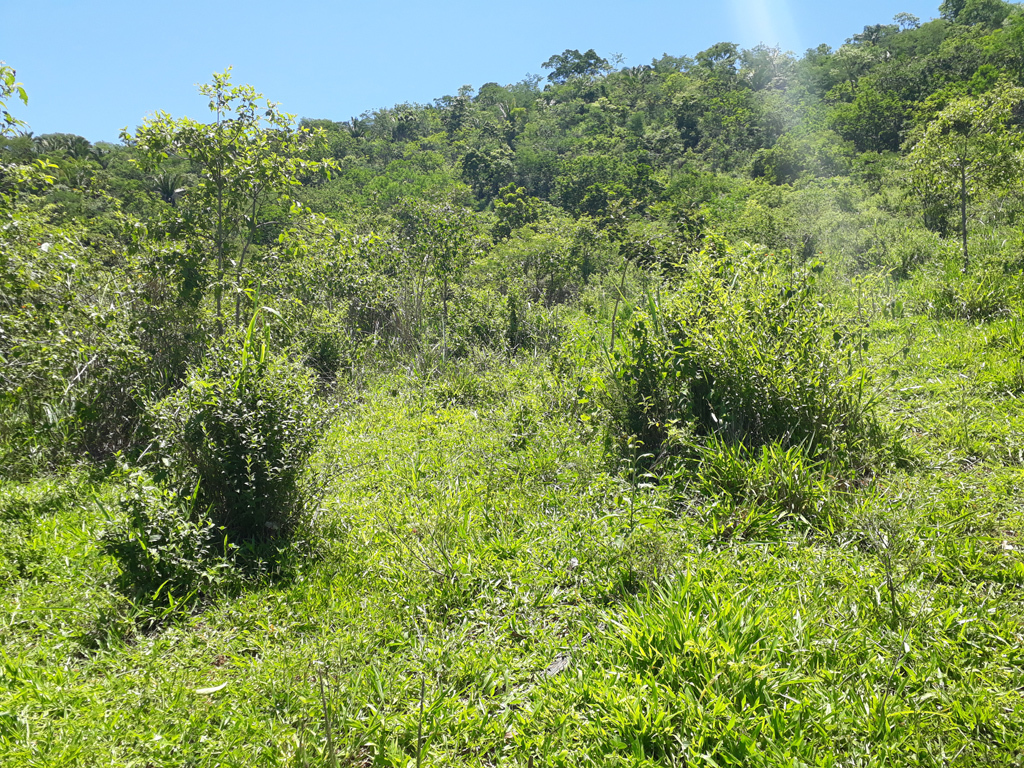 Visão leste - east view