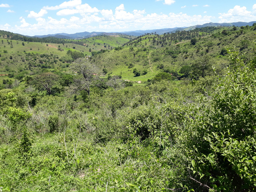 #1: Visão geral, montanha abaixo - general view, going down