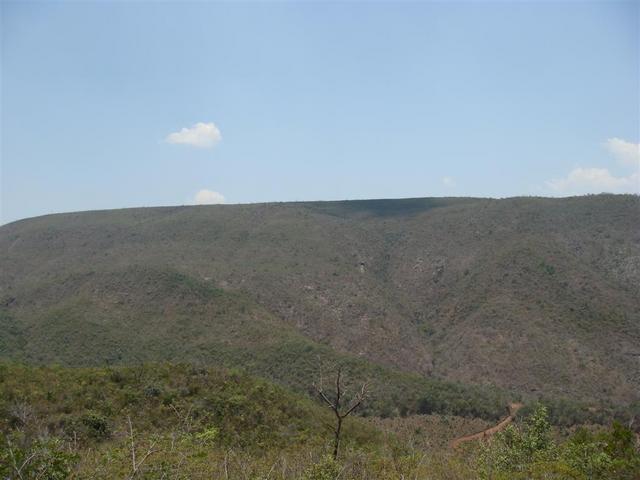 Vista para o sul, tirada a 15 m da confl. - View to south, taken 15 m from CP