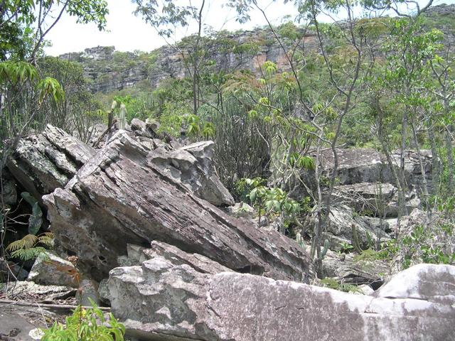 view to East - where we stopped