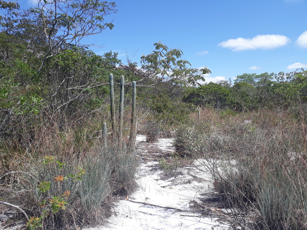 Caminhada pela areia - hiking by the sand