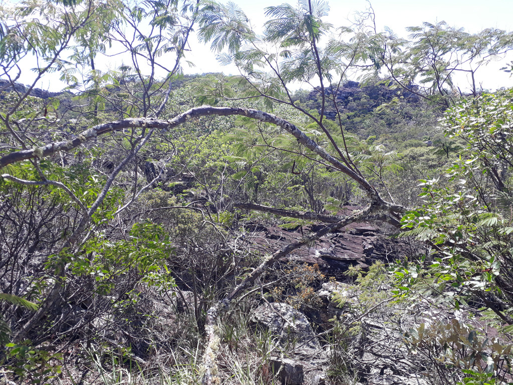 Visão leste - east view