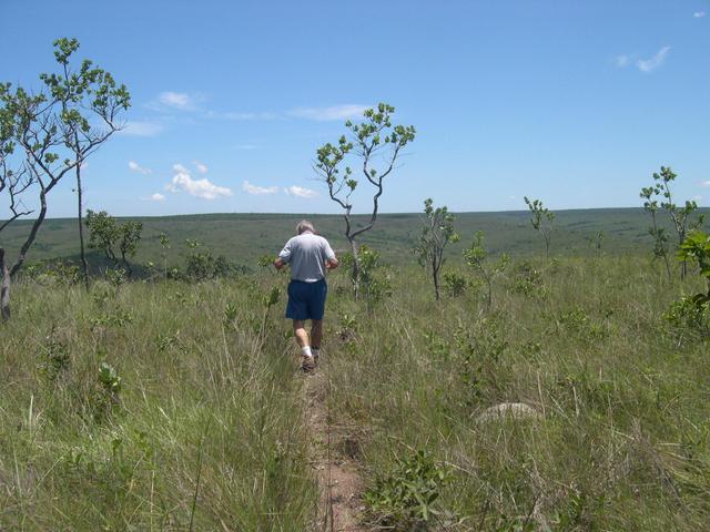 The  foot path going to spring Rio de Janeiro watershed