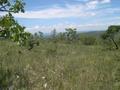 #3: view to east 300 meters from confluence