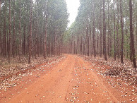 #10: Bela paisagem, km 60,7 do trecho em estrada de terra - beautiful landscape, km 60.7 of dirt road leg