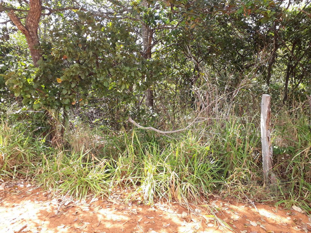 Visão geral - general view